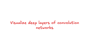 Deep ConvNet Visualizations